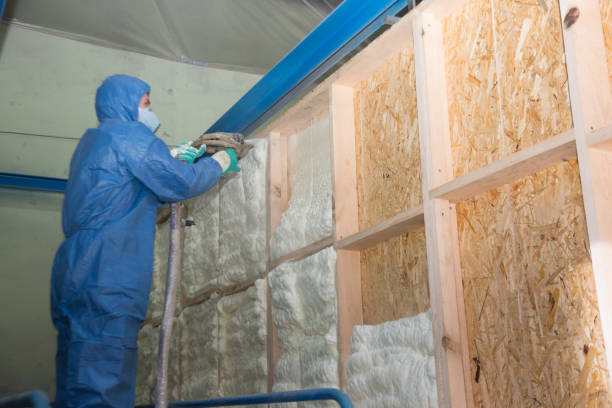 Insulation Replacement Services in Henderson, TX